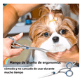 thumbnail image 4 of "Kit De Tijeras Para Peluquería Canina Profesional Belug  plata azul ", 4 of 5