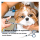 thumbnail image 4 of "Kit De Tijeras Para Peluquería Canina Profesional Belug  plata azul ", 4 of 5