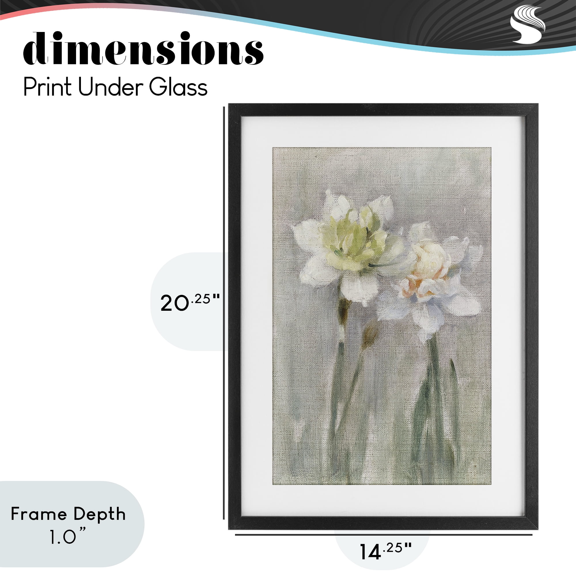 Stupell Industries Twin White Daffodils Black Framed Print Under Glass, design by Stellar Design Studio