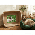 thumbnail image 5 of Word Travel - Friendly Disposable Cat Litter Box - 5 Pack Small Molded Pulp Single Use Easy Clean., 5 of 11