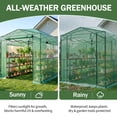 thumbnail image 5 of Ktaxon Pop Up Greenhouse Tent, 6x8ft Instant Walk-in Design with Green Weatherproof PE Cover, 5 of 8