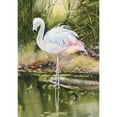 thumbnail image 3 of Unknown 11x14 Black Modern Framed Museum Art Print Titled - Flamingo, 3 of 5