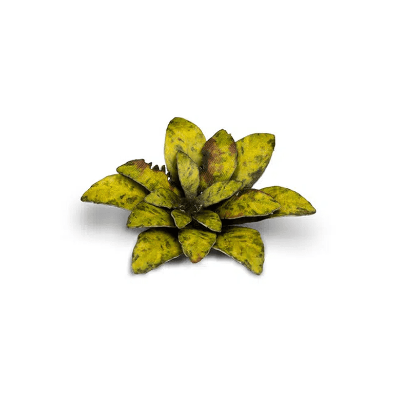 Gamers Grass Laser Plants - Dumb Cane Plantes Miniatures Pour Décoration De Terrain De Jeu, Diorama
