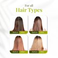 thumbnail image 2 of Tratamiento capilar Expert Hair Bio Protein Botox, 1 kg, 2 of 7