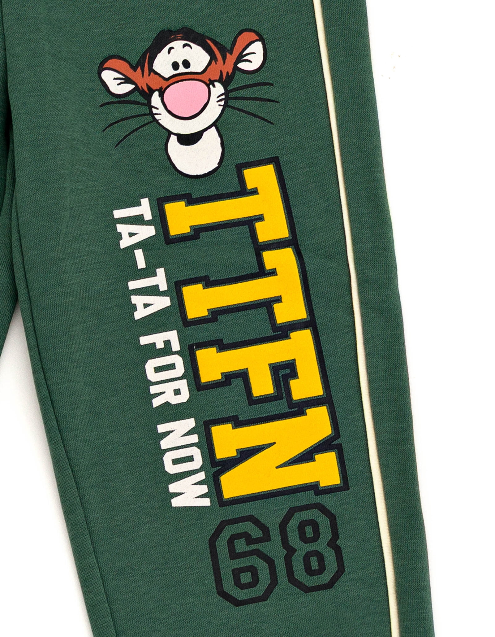 Disney Winnie the Pooh Baby Boys' Fleece Sweatshirt and Pants Set Tigger Dark Green