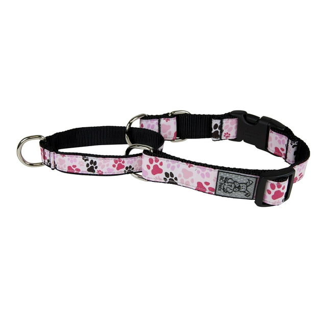 RC Pets 3/4 Inch Easy Clip Web Martingale Training Dog Collar, Small, Pitter Patter Pink