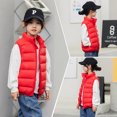 thumbnail image 1 of Chaleco de plumón para niños de otoño e invierno, ligero, mediano y grande, con cuello alto, para bebés, niños y niñas, chaleco de estilo occidental, 1 of 4
