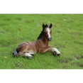 thumbnail image 2 of Horse Colt Laying Down Outdoor Garden Statue - 14", 2 of 6