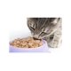 thumbnail image 2 of Paquete de 8 latas Felix filetes alimento humedo 156 gr + 1 juguete relleno de catnip y cola squeaker Fancy pets, 2 of 5