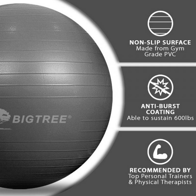 Exercise Ball Gray 29.5
