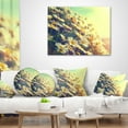 thumbnail image 3 of Designart Nature with Blooming Chamomiles - Floral Throw Pillow - 16x16, 3 of 4