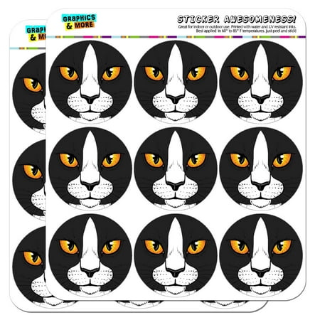 - Black White Cat Face Pet Kitty 2