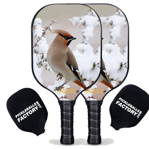Pickleball Factory PB0004-5-C Pickleball Starter Set - Peace Bird Best Pickleball Paddle, Carbonfiber Graphite