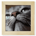 thumbnail image 1 of Cadre Photo Carré pour Chat, Affichage Mural Ou de Table, 1 of 3