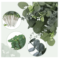 thumbnail image 3 of "30p Hojas De Eucalipto Artificial 4 Tipos Plantas Para Ramo Belug  Verde ", 3 of 5