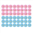 thumbnail image 2 of 144 Piezas de Etiquetas Engomadas RevelacióN GéNero para Juegos Equipo para NiñOs y NiñAs, Suministros para Fiestas RevelacióN GéNero Etiquetas Engomadas NiñO y NiñA, 2 of 5