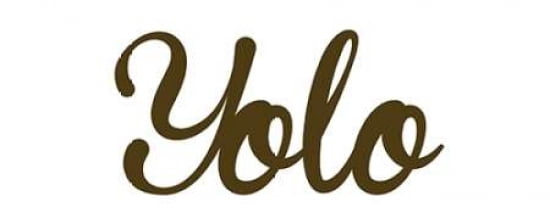 Yolo Canvas Art - A