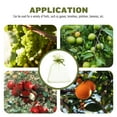 thumbnail image 4 of FRCOLOR Light Green Organza Fruit Mesh Bags for Storage Preventing Birds 50 Pcs 7.87x5.9 Inches, 4 of 10