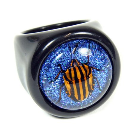 - R0015-6 Ring Striped Sheild Bug Black Ring with Shiny Blue Back Size 6