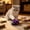 Purple, variant on Star Style Plush Mouse Cat Toy 5.5 Inch, Mixed Color Feather Tail Simulated Mouse for Kittens, Green