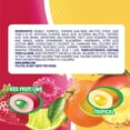 thumbnail image 5 of Mentos Gum Sugar-Free Tropical Red Fruit Lime Chewing Gum, 50 Regular Size Pieces, Bottle, Case of 24, 5 of 6