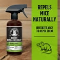 thumbnail image 3 of Grandpa Gus's Peppermint Cinnamon Oil Rodent Repellent Spray, 16 fl oz, 3 of 9