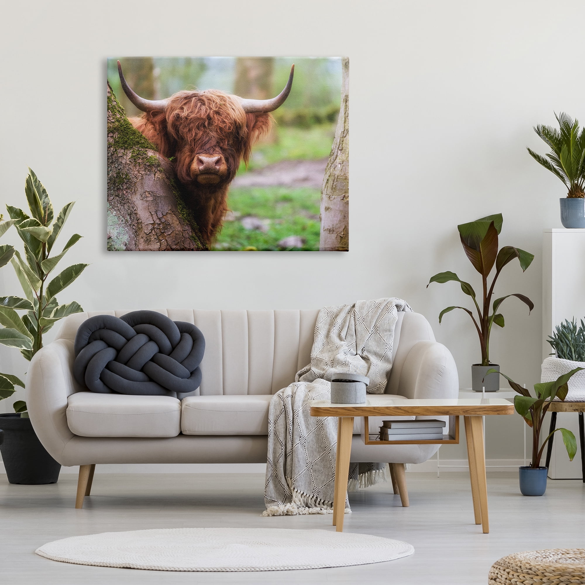 Stupell Industries Highland Cattle Peering Between Trees Lush Nature Scene Photograph Gallery Wrapped Canvas Print Wall Art, Design by James Dobson