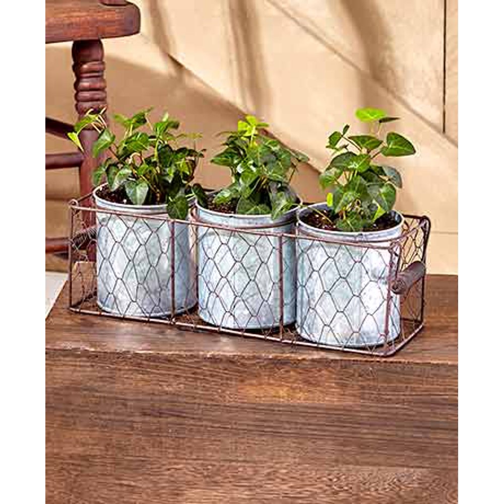 Galvanized Planters in Wire Basket. Choose From 1, 2 or 3 Planter Sets