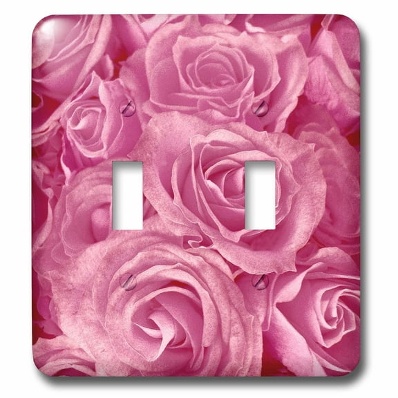 3dRose, Close up scene of dreamy soft pink roses, double toggle switch