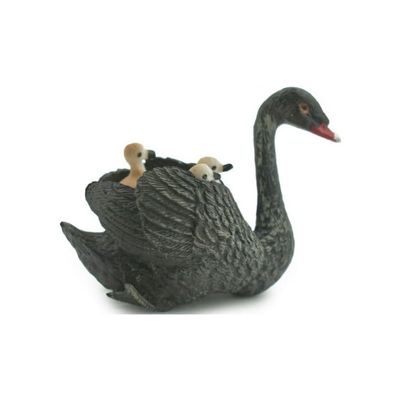 Bird, Black Swan with Chicks, Babies, Museum Quality, Hand Painted, Rubber, Figure, Realistic, Model, Replica, Toy, Kids, Educational, Gift,     3"    CH695 BB173