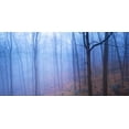thumbnail image 2 of McLoughlin, James 24x14 White Modern Wood Framed Museum Art Print Titled - Harriman Woods VI, 2 of 4