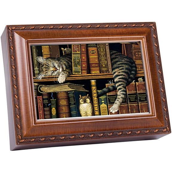 Cat Sleeping in Library Wooden Music Box That's What Friends are for MB249