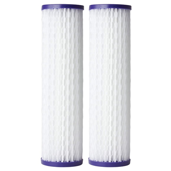 Cartucho de repuesto para filtro de agua AO Smith 20 Micron 2.5x10