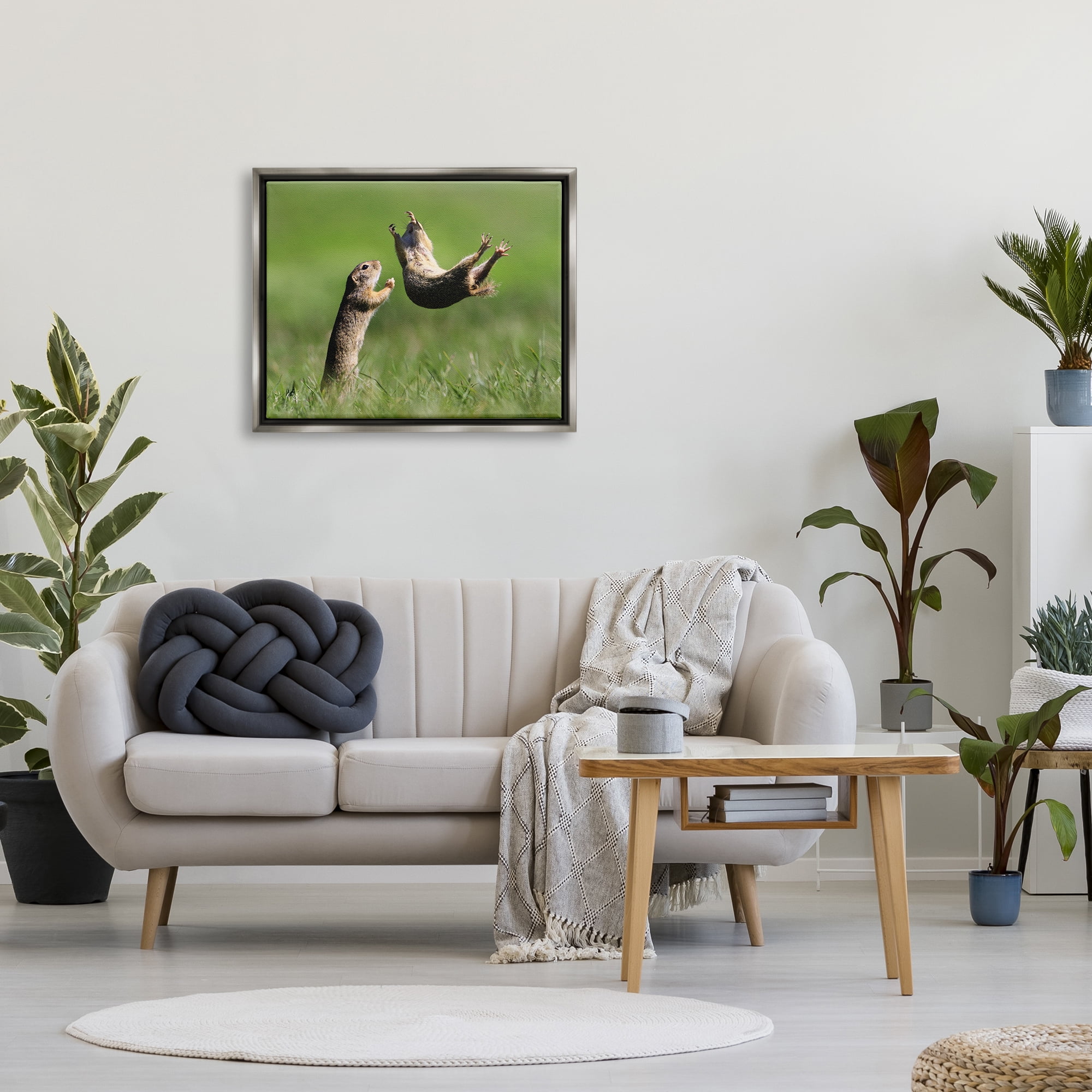 Stupell Industries Prairie Dogs Photography Animals & Insects Photography Gray Floater Framed Canvas Art Print Wall Art, 31 x 25