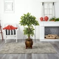 thumbnail image 2 of Nearly Natural 59" Variegated Ficus Artificial Tree in Decorative Planter, 2 of 3