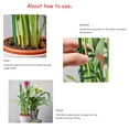 thumbnail image 4 of 12PCS Plant Stake Green Adjustable Garden Single Stem Plant Support Stake, 4 of 10