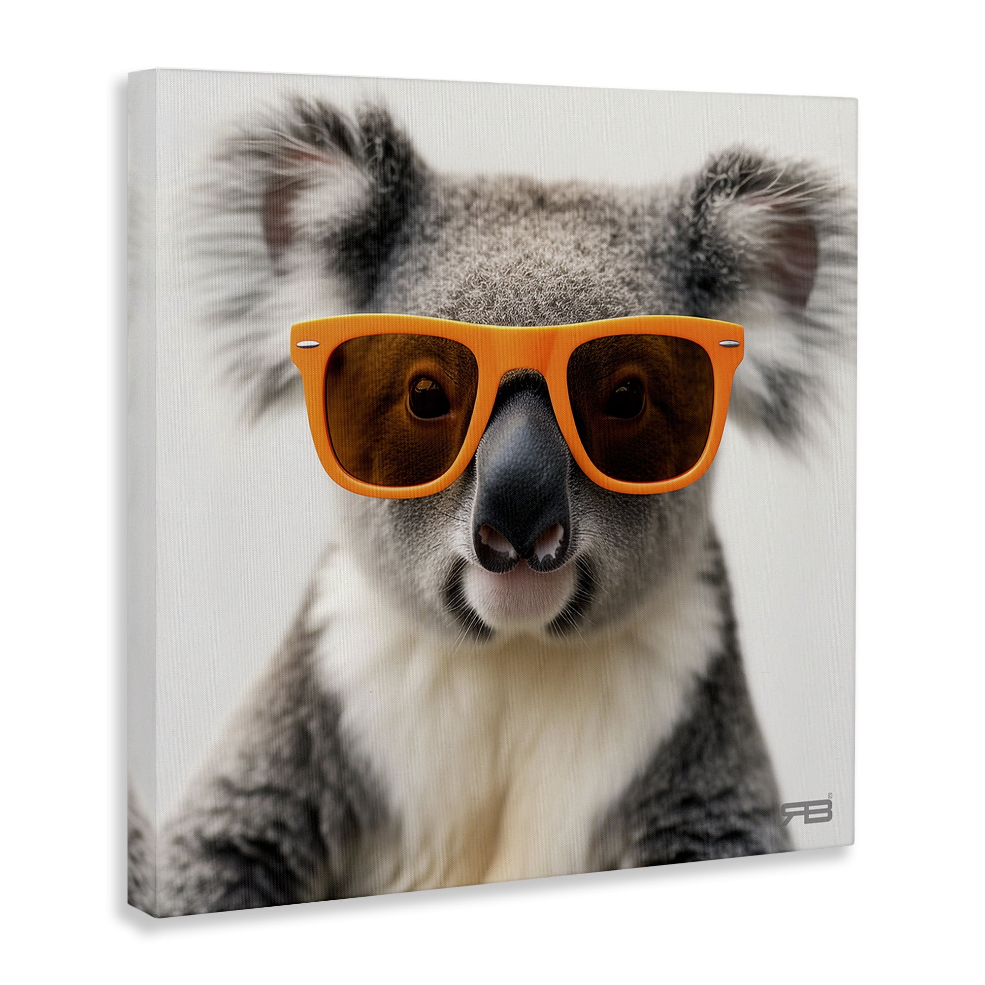 Stupell Industries Cool Koala & Glasses Animals Painting Wrapped Canvas Art Print Wall Art, 36 x 36