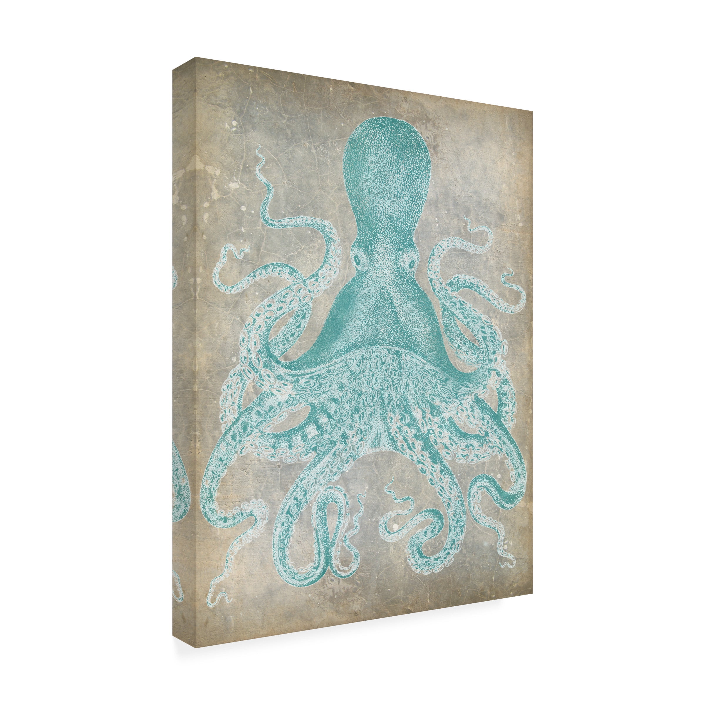 Trademark Fine Art Jennifer Goldberger Spa Octopus I Canvas Wall Art - 35x47
