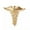 Gold, variant on Fashion Retro Angel Wings Men Badge Pin Snake Brooches Lapel Medal Decorat~H WY4-Gold