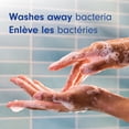 thumbnail image 5 of Softsoap Moisturizing Liquid Hand Soap, Warm Vanilla and Coconut Milk Scent, 50 fl oz Refill, 5 of 14