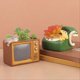 thumbnail image 1 of Flower Pot Retro Radio Succulent Plant Container, 1 of 5