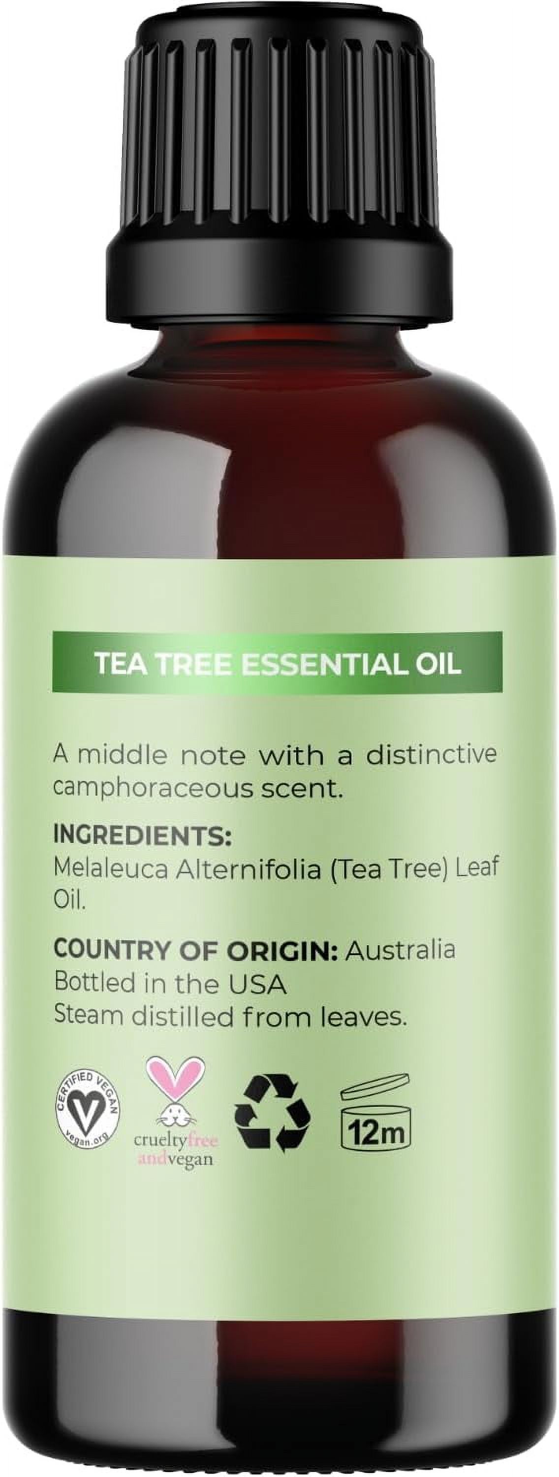 Undiluted Australian Tea Tree Essential Oil for Hair Skin and Nails - Pure Tea Tree Oil for Skin Cleanser Foot Soak and Dry Scalp Treatment, 1 fl oz - image 2 of 6