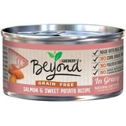 Purina Beyond Grain Free Trout & Catfish Recipe Wet Cat Food, 3 oz