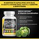 thumbnail image 5 of Alpha Lipoic Acid 600mg N-Acetyl Cysteine 600mg Acetyl L-Carnitine 500mg Benfotiamine 300mg - Nerve Support Supplement for Women and Men with Vitamin B1, B6 & B12 - Made in USA 90 Caps, 5 of 5