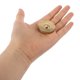 thumbnail image 5 of unbranded Accesorio Profesional Tapa Inferior Para French Horn Para Escuelas De, 5 of 8