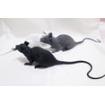 thumbnail image 3 of YSTINNG Super Large Artificial Rats Halloween PVC Fake Rat Suit Novelty Simulation Mouse Model Terrible Prank Props for Party Funs Garden Lawn Decorations Micro Landscape Accessories (Grey), 3 of 7