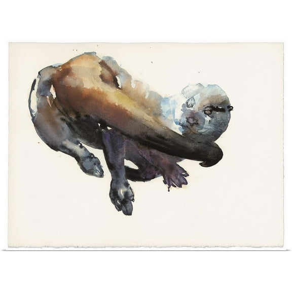 Great BIG Canvas | Rolled Mark Adlington Poster Print entitled Otter Study I - 'Talisker'