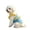 A, variant on YIGOUMY-Pet Cooling Bikini for Dogs, Sunproof Dog Swimsuit, Lightweight Summer Bathing Suit for Bichon, Teddy, Puppies, Beach & Pool Use (XS)