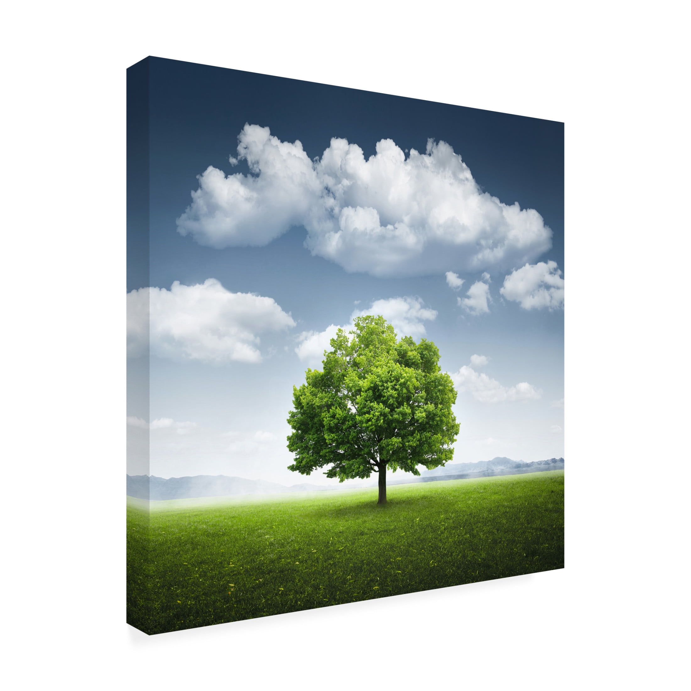Trademark Fine Art Bess Hamiti Lone Tree Canvas Wall Art