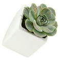 thumbnail image 1 of Arcadia Garden Products Large Cube Wall Planter, Matte White, 1 of 7